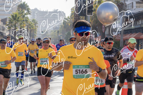 Puma Medio Maratón De Viña Del Mar 2024