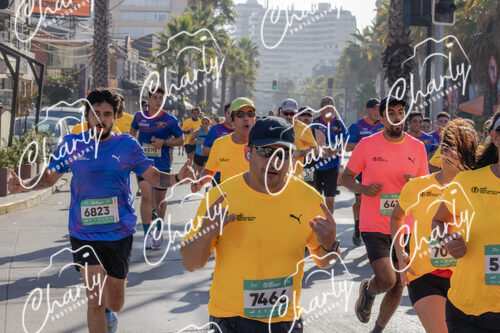 Puma Medio Maratón De Viña Del Mar 2024