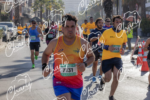 Puma Medio Maratón De Viña Del Mar 2024