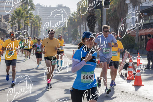 Puma Medio Maratón De Viña Del Mar 2024