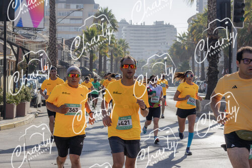 Puma Medio Maratón De Viña Del Mar 2024