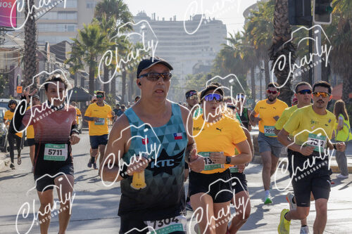 Puma Medio Maratón De Viña Del Mar 2024