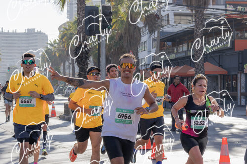 Puma Medio Maratón De Viña Del Mar 2024