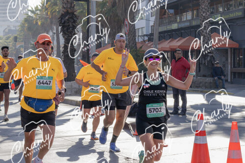 Puma Medio Maratón De Viña Del Mar 2024