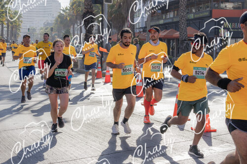 Puma Medio Maratón De Viña Del Mar 2024