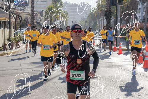 Puma Medio Maratón De Viña Del Mar 2024