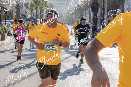 Puma Medio Maratón De Viña Del Mar 2024