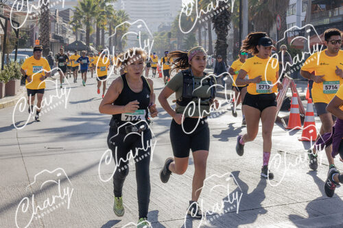 Puma Medio Maratón De Viña Del Mar 2024