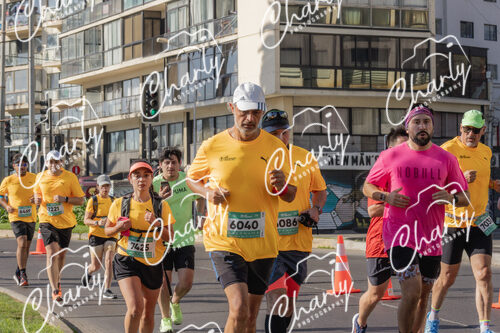Puma Medio Maratón De Viña Del Mar 2024
