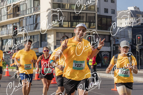 Puma Medio Maratón De Viña Del Mar 2024