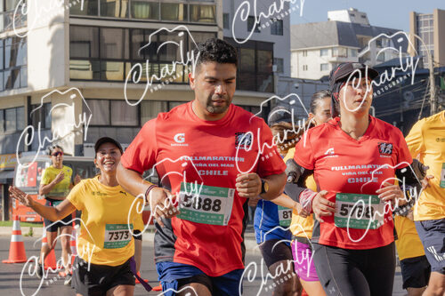 Puma Medio Maratón De Viña Del Mar 2024