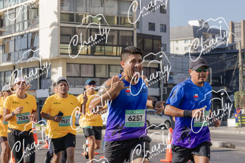 Puma Medio Maratón De Viña Del Mar 2024
