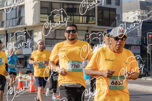 Puma Medio Maratón De Viña Del Mar 2024