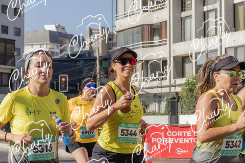 Puma Medio Maratón De Viña Del Mar 2024
