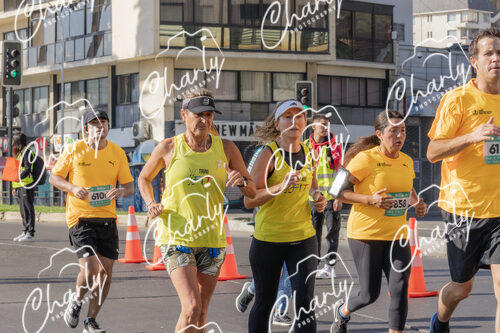 Puma Medio Maratón De Viña Del Mar 2024