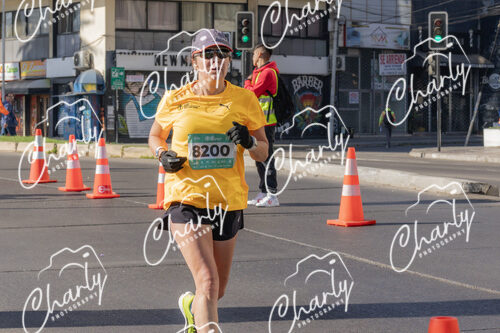Puma Medio Maratón De Viña Del Mar 2024
