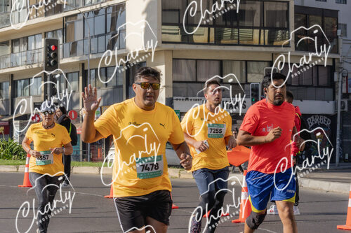 Puma Medio Maratón De Viña Del Mar 2024