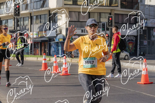 Puma Medio Maratón De Viña Del Mar 2024