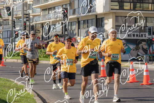 Puma Medio Maratón De Viña Del Mar 2024
