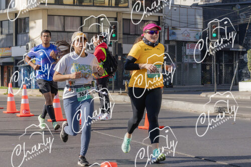 Puma Medio Maratón De Viña Del Mar 2024