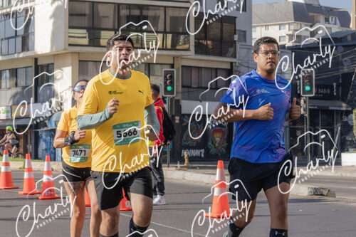 Puma Medio Maratón De Viña Del Mar 2024