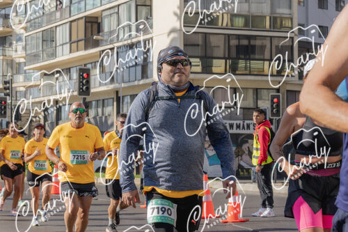 Puma Medio Maratón De Viña Del Mar 2024