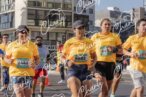 Puma Medio Maratón De Viña Del Mar 2024