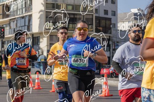 Puma Medio Maratón De Viña Del Mar 2024