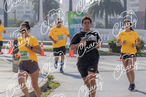 Puma Medio Maratón De Viña Del Mar 2024