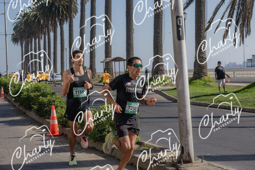Puma Medio Maratón De Viña Del Mar 2024