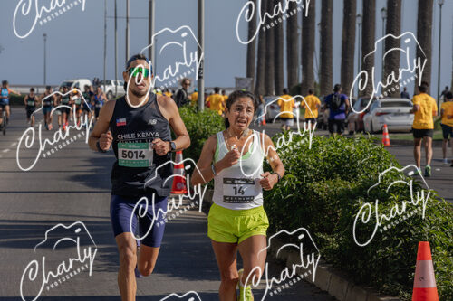 Puma Medio Maratón De Viña Del Mar 2024