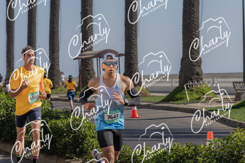 Puma Medio Maratón De Viña Del Mar 2024