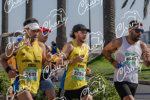 Puma Medio Maratón De Viña Del Mar 2024