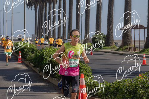 Puma Medio Maratón De Viña Del Mar 2024