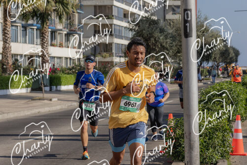Puma Medio Maratón De Viña Del Mar 2024