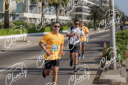 Puma Medio Maratón De Viña Del Mar 2024