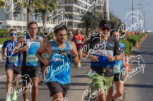 Puma Medio Maratón De Viña Del Mar 2024