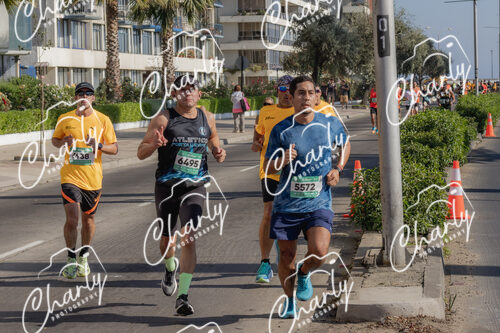 Puma Medio Maratón De Viña Del Mar 2024