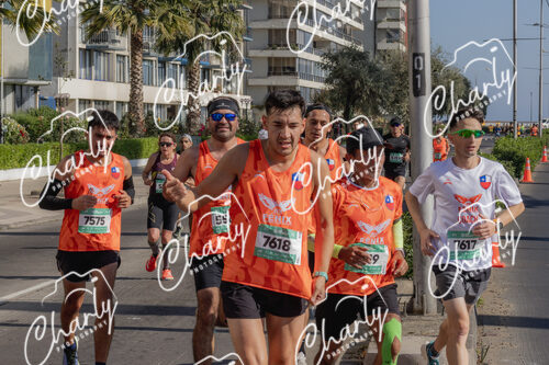 Puma Medio Maratón De Viña Del Mar 2024