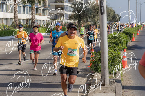 Puma Medio Maratón De Viña Del Mar 2024