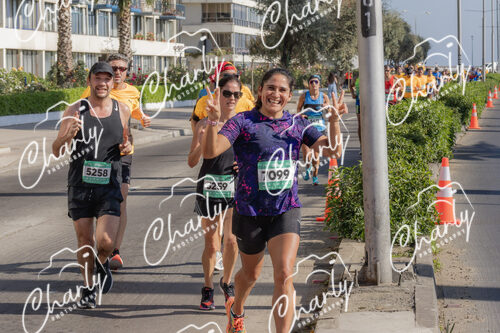 Puma Medio Maratón De Viña Del Mar 2024