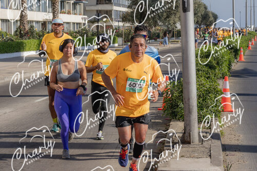 Puma Medio Maratón De Viña Del Mar 2024
