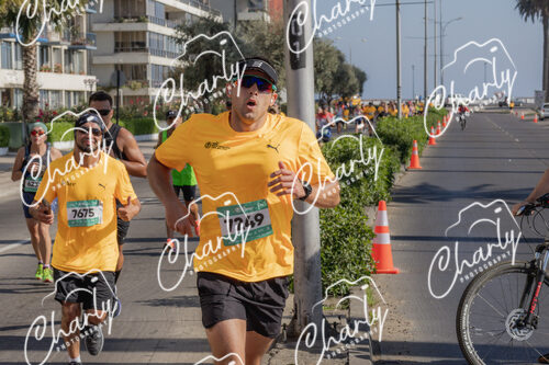 Puma Medio Maratón De Viña Del Mar 2024