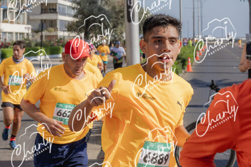 Puma Medio Maratón De Viña Del Mar 2024