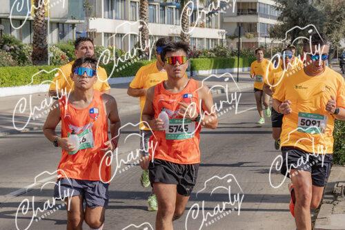 Puma Medio Maratón De Viña Del Mar 2024