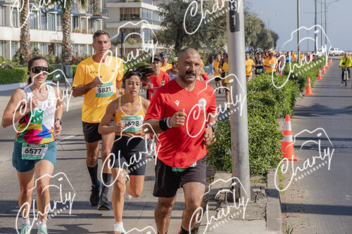 Puma Medio Maratón De Viña Del Mar 2024