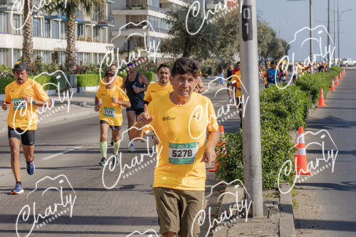 Puma Medio Maratón De Viña Del Mar 2024