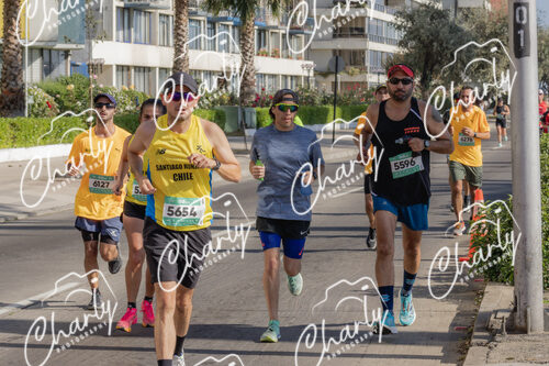 Puma Medio Maratón De Viña Del Mar 2024