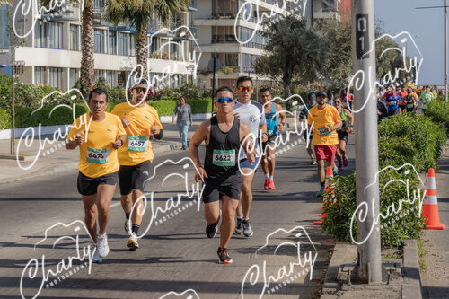 Puma Medio Maratón De Viña Del Mar 2024