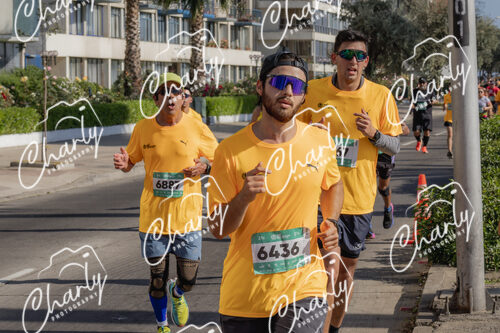Puma Medio Maratón De Viña Del Mar 2024